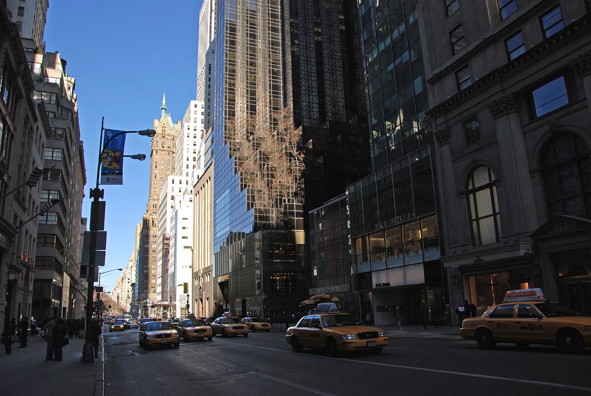 New York City Fifth Avenue 711 03 View Towards Central Park